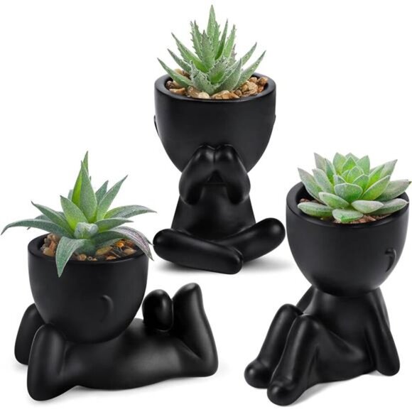 Artificial Succulents in Black Human Pot Indoor Fake Plants Home Office Decor - Picture 1 of 7